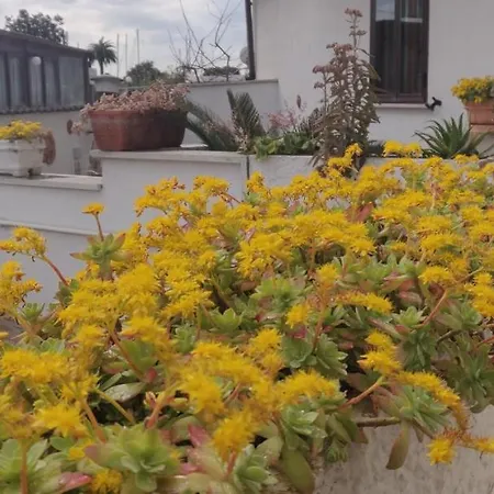 Hillary House-3